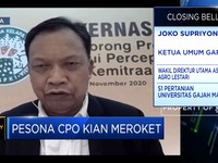 Permintaan Naik & Produksi Turun, Harga CPO di Tren Bullish