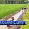 Awas! Ancaman Krisis Pangan Menghadang