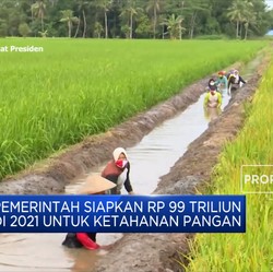 Awas! Ancaman Krisis Pangan Menghadang