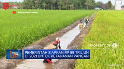 Awas! Ancaman Krisis Pangan Menghadang