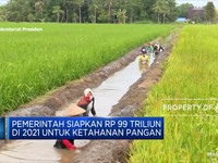 Awas! Ancaman Krisis Pangan Menghadang