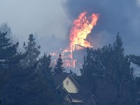 1000 Orang Dievakuasi, Kebakaran Hutan Melanda Nevada AS