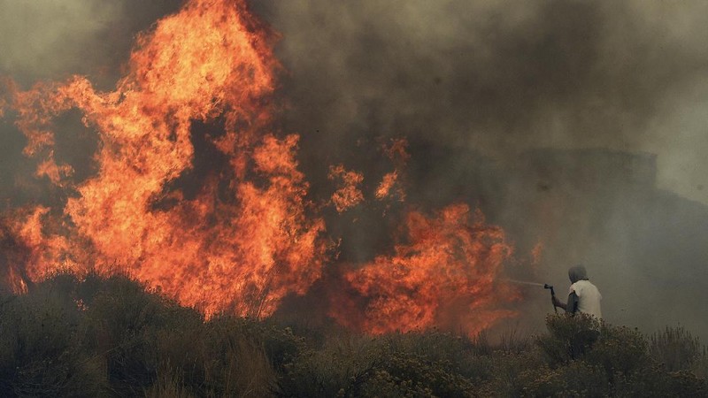 Kebakaran hutan di Nevada merambat ke permukiman warga. (AP/Jason Bean)