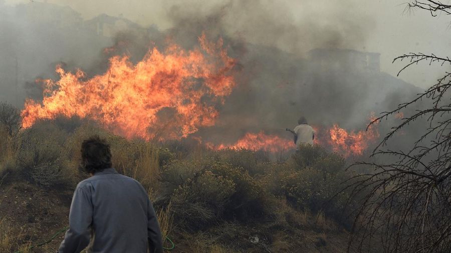 Kebakaran hutan di Nevada merambat ke permukiman warga. (AP/Jason Bean)