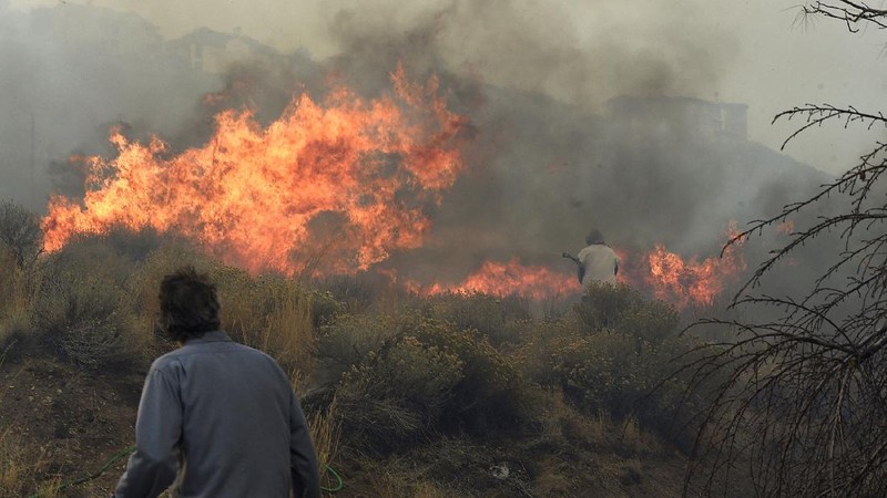Kebakaran hutan di Nevada merambat ke permukiman warga. (AP/Jason Bean)