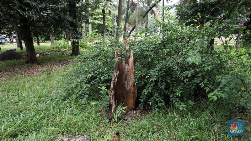Taman Martha Tiahahu. (CNBC Indonesia/Andrean Kristianto)
