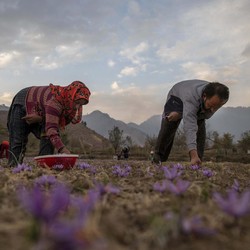 Kashmir: Surga Dunia di Tengah Pusaran Konflik 2 Kekuatan Nuklir Asia