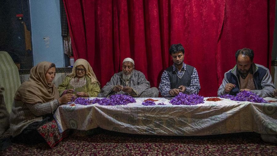 Bunga di Kashmir. (AP/Dar Yasin)