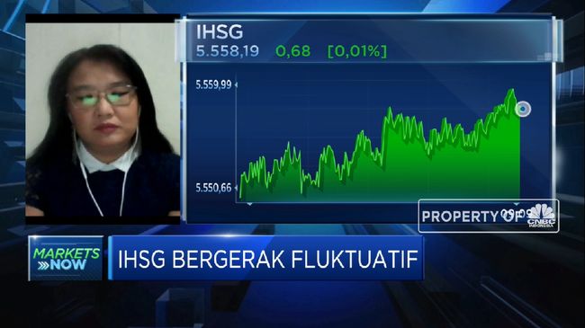 Sentimen Pasar Up & Down, IHSG Bergerak Fluktuatif - CNBC Indonesia