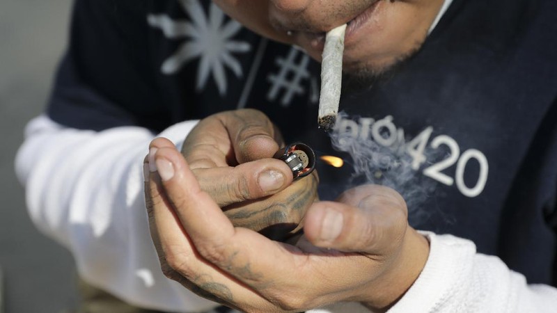 Meksiko berencana melegalkan ganja untuk kebutuhan pengobatan dan rekreasi. (AP/Eduardo Verdugo)