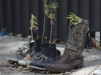 Wow! Produk Ganja Ini Booming di Inggris Gegara Covid