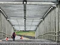 Jokowi Tuntaskan 3 Proyek Jembatan 'Kembar' di Riau
