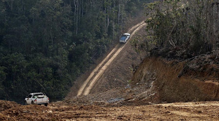 Jalan membelah hutan. (Dok: PUPR)