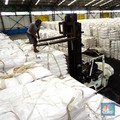 100 Ribu Ton Gula Numpuk di Gudang-Pabrik, Petani Teriak Minta Tolong