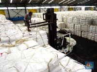 100 Ribu Ton Gula Numpuk di Gudang-Pabrik, Petani Teriak Minta Tolong