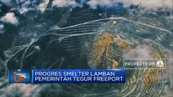 Progres Smelter Lamban Pemerintah Tegur Freeport