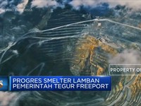 Progres Smelter Lamban Pemerintah Tegur Freeport