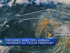 Progres Smelter Lamban Pemerintah Tegur Freeport