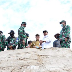 Simak! Ini Update Proyek Prabowo Tanam Singkong di Kalteng