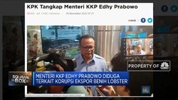 KPK Tangkap Menteri Edhy Prabowo Terkait Ekspor Benih Lobster