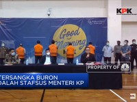 2 Tersangka Kasus Ekspor Benur Masih Buron