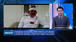 Menteri Baru KP Diharap Lanjutkan Kebijakan Baik Menteri Susi