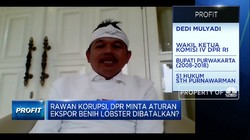 DPR: Kebijakan Menteri Edhy Tak Cerminkan Keberpihakan Negara