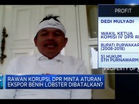 DPR: Kebijakan Menteri Edhy Tak Cerminkan Keberpihakan Negara