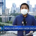 Menguji Keampuhan Vaksin Sinovac
