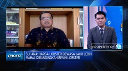 RI Kirim Benur, Ekspor Lobster Vietnam Kuasai Pasar China