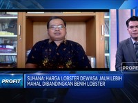 RI Kirim Benur, Ekspor Lobster Vietnam Kuasai Pasar China
