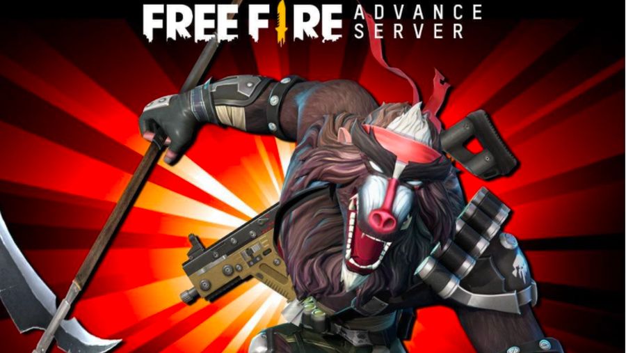 Free Fire