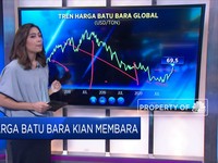 Harga Batu Bara Kian Membara