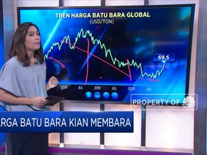 Harga Batu Bara Kian Membara