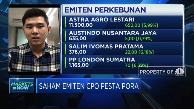 Harga Komoditas  Melesat Saham Emiten  CPO Pesta Pora