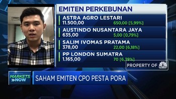 Harga Komoditas Melesat, Saham Emiten CPO Pesta Pora