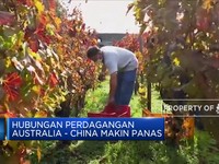 Hubungan Australia - China Makin Panas