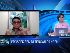 SBN Ritel, Strategi Perbesar Basis Investor Individu Domestik