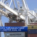 Uni Eropa Turunkan Tarif Masuk Lobster Asal AS