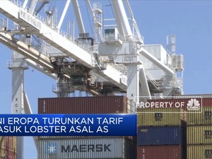 Uni Eropa Turunkan Tarif Masuk Lobster Asal AS