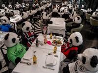 Aksi Protes Restoran di Jerman Hadirkan Boneka Panda