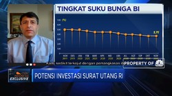 Uji Efek Kebijakan BI Saat Pandemi, Ini Kata Fitch Ratings