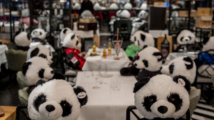 Plush pandas and Corona beer bottles decorate the tables of a closed restaurant in Frankfurt, Germany, Tuesday, Nov. 24, 2020. Restaurants all over Germany were closed as a partial lockdown began in November to avoid the further outspread of the coronavirus. (AP Photo/Michael Probst)