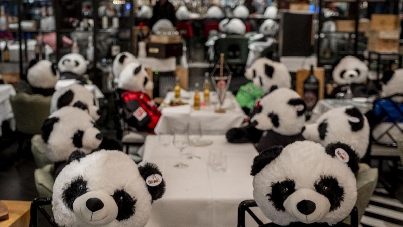Plush pandas and Corona beer bottles decorate the tables of a closed restaurant in Frankfurt, Germany, Tuesday, Nov. 24, 2020. Restaurants all over Germany were closed as a partial lockdown began in November to avoid the further outspread of the coronavirus. (AP Photo/Michael Probst)