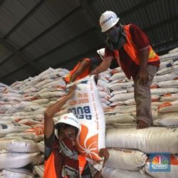 RI Mau Impor Beras, Bos Bulog: Belum Tentu Kami Laksanakan!