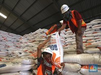 Ternyata Ini Biang Kerok Stok Beras Pemerintah Kritis