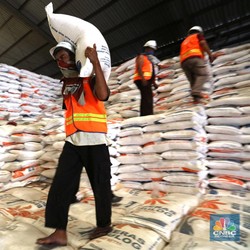 Lawan Impor, Mentan: Perkiraan Beras Surplus 12 Juta Ton!