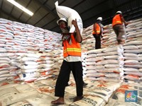 Lawan Impor, Mentan: Perkiraan Beras Surplus 12 Juta Ton!