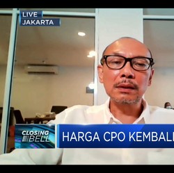 India Pangkas Bea Masuk, Ekspor CPO RI Berpeluang Meningkat?