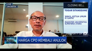 India Pangkas Bea Masuk, Ekspor CPO RI Berpeluang Meningkat?